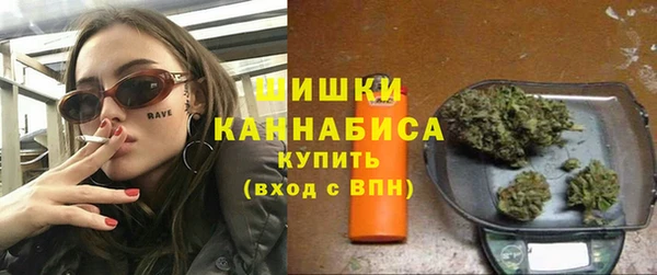 дживик Майский