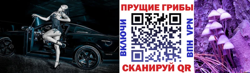 Купить  Россошь  Псилоцибиновые грибы мицелий 